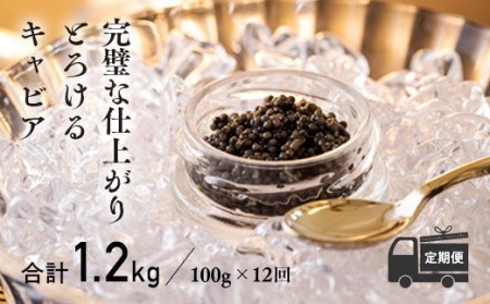 【定期便 12ヶ月】THE・CAVIAR（ザ・キャビア）100g　特番498