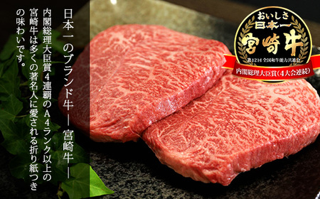 宮崎牛サイコロステーキ&牛カツカットお肉セット 合計700g　特産品番号681