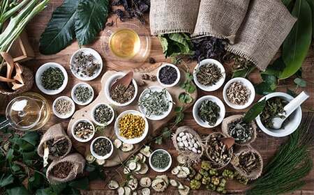 国産 無農薬 ノンカフェイン スギナ茶「きりしま日和」ティーパックタイプ(1.5g×60包) TF0653-P00027