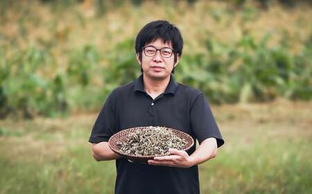 国産 無農薬 ノンカフェイン 桑の葉茶「きりしま日和」ティーパックタイプ(1.5g×60包) 　特番655