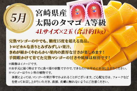 期間限定定期便 ＜太陽のタマゴを肉ではさんだ超贅沢な3か月定期便＞2025年4月から第一回目を順次出荷【 定期便 牛肉定期便 マンゴー定期便 宮崎県定期便 】【b0674_co】