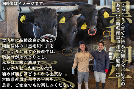 ＜宮崎県産黒毛和牛(経産)6種焼肉セット 300g＞1～3か月以内に順次出荷【 国産 黒毛和牛 牛肉 牛 精肉 焼き肉 焼肉 サーロイン リブロース 肩ロース ウデ モモ バラ 贈答品 ギフト 贈り物 グルメ ミヤチク 宮崎県 国富町 】【b0749_my_x2】