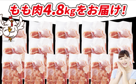 ＜宮崎県産若鶏切身 もも肉 4.8kg（300g×16袋）＞ 翌々月までに順次出荷 【 からあげ 唐揚げ カレー シチュー BBQ 煮物 チキン南蛮 小分け おかず おつまみ お弁当 惣菜 時短 炒め物 簡単料理 】【b0783_it_x2】