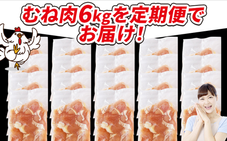 ＜宮崎県産若鶏切身 むね肉 6kg（300g×20袋）3か月定期便＞ 翌々月までに初回発送 【 からあげ 唐揚げ カレー シチュー BBQ 煮物 チキン南蛮 小分け おかず おつまみ お弁当 惣菜 時短 炒め物 簡単料理 】【b0797_it_x2】