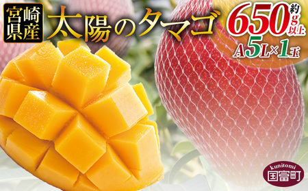 数量限定【2026年発送】＜宮崎県産 太陽のタマゴ A等級 A5Lサイズ×1玉（約650g以上）＞2026年4月上旬～6月末迄に順次出荷【 太陽のタマゴ 完熟マンゴー 完熟 マンゴー フルーツ トロピカルフルーツ 果物 くだもの おいしい 美味しい 甘い あまい 】【b0912_ja】