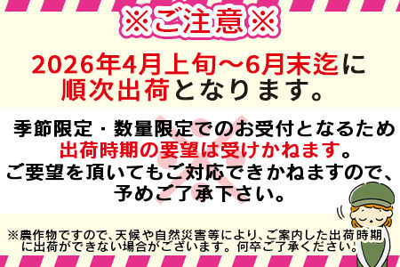 数量限定【2026年発送】＜宮崎県産 太陽のタマゴ A等級 A5Lサイズ×1玉（約650g以上）＞2026年4月上旬～6月末迄に順次出荷【 太陽のタマゴ 完熟マンゴー 完熟 マンゴー フルーツ トロピカルフルーツ 果物 くだもの おいしい 美味しい 甘い あまい 】【b0912_ja】