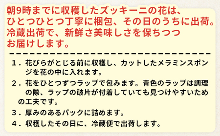 ＜あなたにズッキーニの花 8個＞1か月程度で出荷【 野菜 青果 国産 料理 アレンジ 天ぷら 】【b0916_hf】