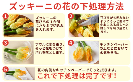 ＜あなたにズッキーニの花 8個＞1か月程度で出荷【 野菜 青果 国産 料理 アレンジ 天ぷら 】【b0916_hf】