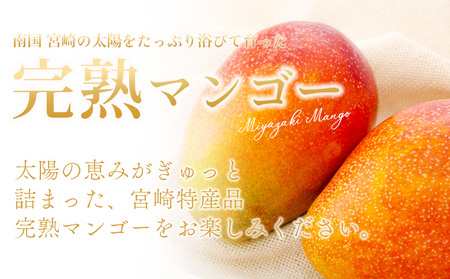 【先行予約 2026年発送】<宮崎県産 完熟マンゴー 2L 合計2玉>入金確認後、2026年5月初旬~7月末迄に順次出荷【選べる 大きさ サイズ 国産 かんじゅく とろける 果物 果実 フルーツ 南国 芳醇 甘い 旬 濃厚 贈り物 プレゼント(株)ワールドワイドトレード 宮崎県 国富町】【 b0954_ww】