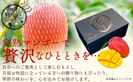 【先行予約 2026年発送】＜宮崎県産 完熟マンゴー 3L 合計2玉＞入金確認後、2026年5月初旬～7月末迄に順次出荷【選べる 大きさ サイズ 国産 かんじゅく とろける 果物 果実 フルーツ 南国 芳醇 甘い 旬 濃厚 贈り物 プレゼント（株）ワールドワイドトレード 宮崎県 国富町】【 b0955_ww】