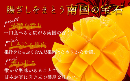 【先行予約 2026年発送】＜宮崎県産完熟マンゴー 太陽のタマゴ 3L 合計2玉＞入金確認後、2026年5月初旬～7月末迄に順次出荷【選べる 大きさ サイズ 国産 かんじゅく とろける 果物 果実 フルーツ 南国 芳醇 甘い 旬 濃厚 贈り物 プレゼント（株）ワールドワイドトレード 宮崎県 国富町】【 b0958_ww】