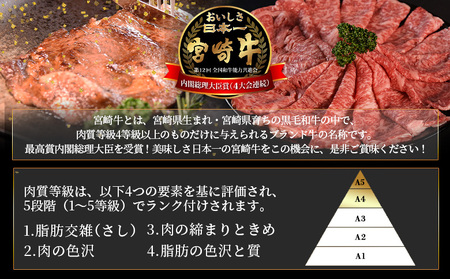 <宮崎牛 切落し焼肉1kg(500g×2)>入金確認後、1~3か月以内に順次出荷【国産 黒毛和牛 牛肉 牛 精肉 赤身 ブランド牛 ちょっと豪華 毎日の食卓 プチ贅沢 ご褒美 旨味 普段使い 焼き肉 形 大きさ 不揃い 切り落とし やきにく 焼くだけ ミヤチク 宮崎県 】【b0986_my_x1】