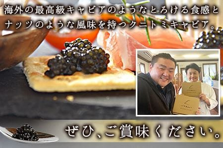【訳あり】＜クニトミキャビア 30gセット(20g×1+10g×1)＞翌月末迄に順次出荷【a0195_mc】