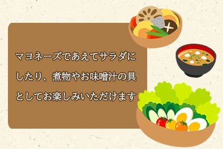 ＜切干大根　15袋セット＞翌月末迄に順次出荷【せんぎり 大根 千切り大根 切り干し大根 切干し大根 切干大根 野菜 常備野菜 煮物 乾物 だいこん ダイコン サラダ お味噌汁 】【b0046_ko】