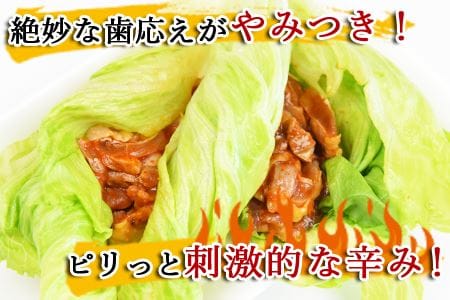 ＜宮崎県産 鶏のたたき キムチ漬け 約900g(90g×10パック)＞翌月末までに順次出荷【a0016_mj_x1】