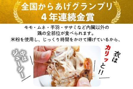＜半身からあげ3本セット(塩味×2本 スパイス味×1本)＞準備でき次第翌々月までに順次発送【 鶏肉 唐揚げ 米粉 クリスマス 食べ比べ 】【a0031_hi】