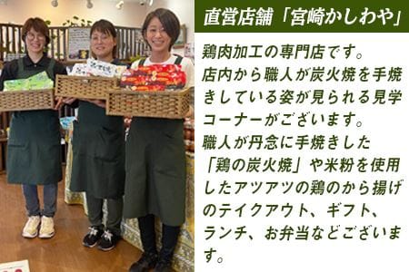 ＜半身からあげ5本セット(塩味×3本 スパイス味×2本)＞準備でき次第翌々月までに順次発送【 鶏肉 唐揚げ おつまみ 米粉 クリスマス 食べ比べ 】【a0032_hi】