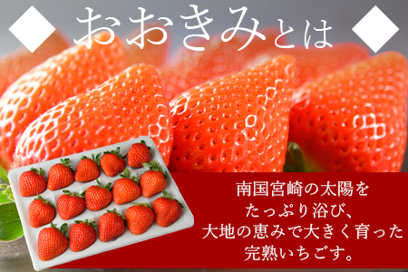 高級いちご「おおきみ」（15粒入り×1パック約380g以上）＞2024年1月