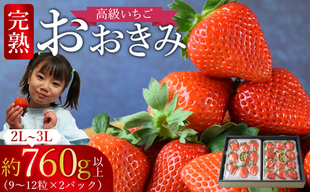 ＜高級いちご「おおきみ」（9～12粒×2パック 合計約760g以上）化粧箱入り＞2025年1月上旬～4月末迄に順次出荷【 いちご イチゴ 苺 先行予約 甘い 大きい 果物 フルーツ 季節物 】【a0284_sn_x1】