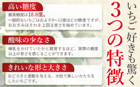 ＜高級いちご「おおきみ」（9～12粒×2パック 合計約760g以上）化粧箱入り＞2025年1月上旬～4月末迄に順次出荷【 いちご イチゴ 苺 先行予約 甘い 大きい 果物 フルーツ 季節物 】【a0284_sn_x1】