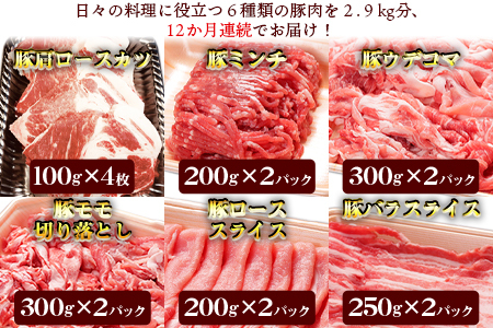 ★高評価★定期便★＜12か月定期便 和富豚 そがらしセット 2.9kg＞翌月末迄に第1回目発送【 豚 肉 豚肉 豚定期便 肉定期便 豚肉定期便 エムツー定期便 和富豚定期便  豚 肉 豚肉 豚定期便 肉定期便 豚肉定期便 12回定期便 12か月定期便 エムツー定期便 和富豚定期便 豚肉 豚 肉 スライス 一貫生産 農場 国産豚 国産 宮崎県産 豚 豚ローススライス 豚肉ローススライス 豚肉ロース 豚ロース 豚肉スライス 豚肉バラ 豚バラスライス 豚バラ 豚肉モモ 豚モモ 豚肉切り落とし 豚肉もも 豚肉モモ切り落とし 豚肉もも切落し 豚モモ切落し 切り落とし 豚ミンチ 豚肉ミンチ ミンチ ひき肉 ひき肉です 豚ひき肉 】【a0319_em_x3】