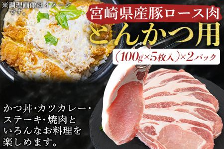 ＜宮崎県産豚肉 『とんかつ用』セット（ロース・ヒレ）合計2.0kg＞翌月末迄に順次出荷 【豚肉 豚 肉 国産豚肉 宮崎県産豚肉  豚肉 期間限定豚肉 中豚肉 豚 トンカツ 豚カツ とんかつ とんかつ用豚肉 豚カツ用豚肉 トンカツ用豚肉 とんかつ豚肉 トンカツ豚肉 豚カツ豚肉 豚ロース ぶたロース 豚ヒレ ぶたヒレ 豚肉セット とんかつセット 豚カツセット トンカツセット】【b0384_ty】