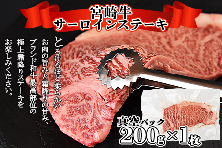 ＜宮崎牛サーロインステーキ ＆ 宮崎牛肩（ウデ）すき焼き肉セット 合計500g＞翌月末迄に順次出荷【a0381_ty】