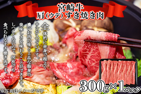＜宮崎牛サーロインステーキ ＆ 宮崎牛肩（ウデ）すき焼き肉セット 合計500g＞翌月末迄に順次出荷【a0381_ty】