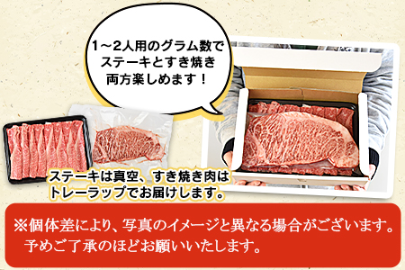 ＜宮崎牛サーロインステーキ ＆ 宮崎牛肩（ウデ）すき焼き肉セット 合計500g＞翌月末迄に順次出荷【a0381_ty】