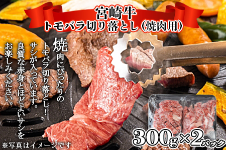 <宮崎牛サイコロステーキ & 宮崎牛トモバラ切落とし(焼肉)合計1.0kg>翌月末迄に順次出荷【a0382_ty】