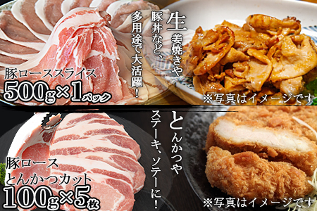 <宮崎県産豚肉 《お楽しみ》バラエティーセット 合計2.0k>翌月末迄に順次出荷【 豚肉 スライス 豚ロース 豚小間 こま切れ 豚ミンチ セット 小分け とんかつ 生姜焼き ハンバーグ 食べて応援 食べ比べ 国産 】【b0387_ty】