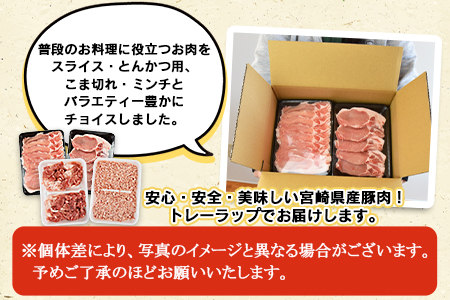 <宮崎県産豚肉 《お楽しみ》バラエティーセット 合計2.0k>翌月末迄に順次出荷【 豚肉 スライス 豚ロース 豚小間 こま切れ 豚ミンチ セット 小分け とんかつ 生姜焼き ハンバーグ 食べて応援 食べ比べ 国産 】【b0387_ty】