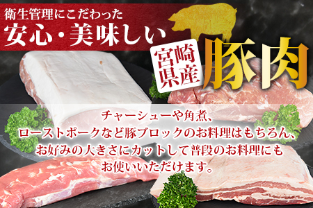 ＜宮崎県産豚肉ブロック 4種セット（ヒレ・ロース・モモ・バラ）合計3.5kg＞翌月末迄に順次出荷【 肉 豚肉 国産豚肉 九州産豚肉 宮崎県産豚肉 豚肉 大容量 豚肉 豚肉ブロック 豚肉 】【a0406_ty】