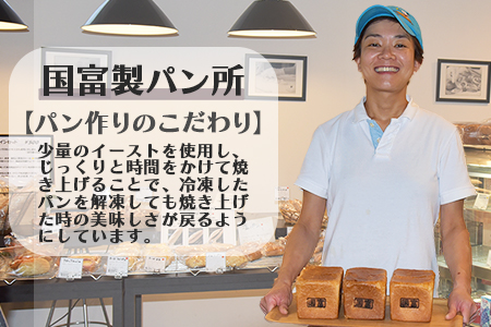 <ベーグル 4種セット 計13個>翌月末迄に順次出荷【 プレーン チョコ チーズ アップルシナモン ベーグルサンド パン 食べ比べ 】【b0433_kp】