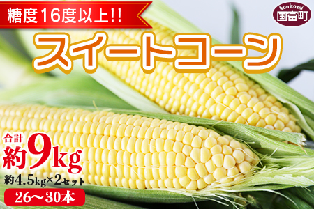 期間限定【2026年発送】＜宮崎県産 スイートコーン 約9kg（約4.5kg×2箱）＞2026年5月下旬～6月中旬迄に順次出荷【 先行予約 穀物 野菜 甘い 季節限定 とうもろこし おやつ ご飯 スープ サラダ BBQ 屋台 】【a0451_ja】