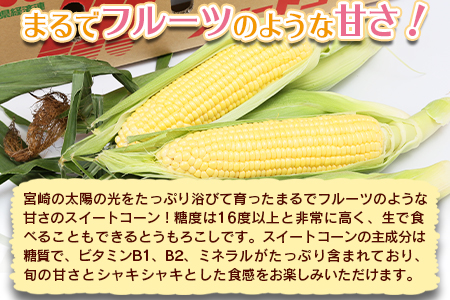 期間限定【2026年発送】＜宮崎県産 スイートコーン 約9kg（約4.5kg×2箱）＞2026年5月下旬～6月中旬迄に順次出荷【 先行予約 穀物 野菜 甘い 季節限定 とうもろこし おやつ ご飯 スープ サラダ BBQ 屋台 】【a0451_ja】