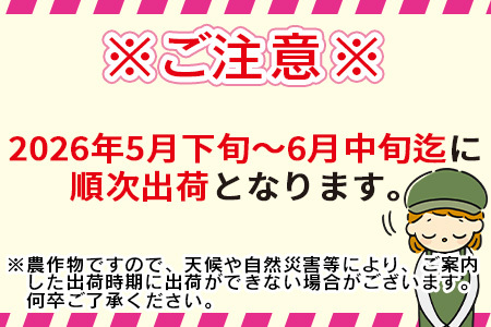期間限定【2026年発送】＜宮崎県産 スイートコーン 約9kg（約4.5kg×2箱）＞2026年5月下旬～6月中旬迄に順次出荷【 先行予約 穀物 野菜 甘い 季節限定 とうもろこし おやつ ご飯 スープ サラダ BBQ 屋台 】【a0451_ja】