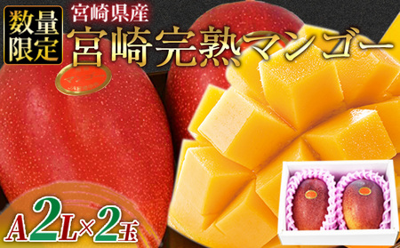 数量限定【2026年発送】＜宮崎県産 完熟マンゴー A等級 2Lサイズ×2玉（合計約700g）＞2026年4月上旬～6月末迄に順次出荷【b0477_ja】