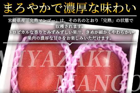 数量限定【2026年発送】＜宮崎県産 完熟マンゴー A等級 2Lサイズ×2玉（合計約700g）＞2026年4月上旬～6月末迄に順次出荷【b0477_ja】