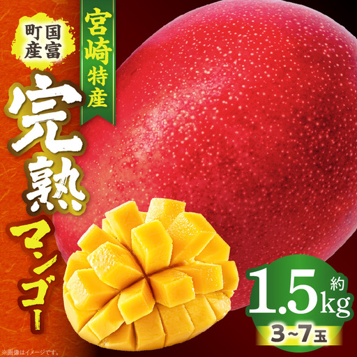 期間限定！＜宮崎特産！国富町産の完熟マンゴー 3～7玉（約1.5kg）＞2026年3月下旬～6月下旬迄に順次出荷【a0591_as】