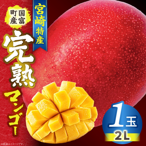期間限定！＜宮崎特産！国富町産の完熟マンゴー 1玉（2L）＞2026年3月下旬～6月下旬迄に順次出荷【a0592_as】