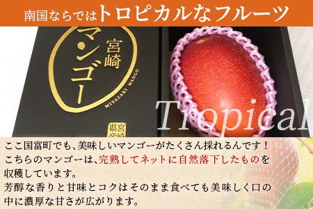 期間限定!<宮崎特産!国富町産の完熟マンゴー 1玉(3L)>2026年3月下旬~6月下旬迄に順次出荷【a0593_as】