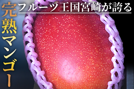 期間限定! <宮崎特産!国富町産の完熟マンゴー 2玉(2L×2玉)>2026年3月下旬~6月下旬迄に順次出荷【a0594_as】