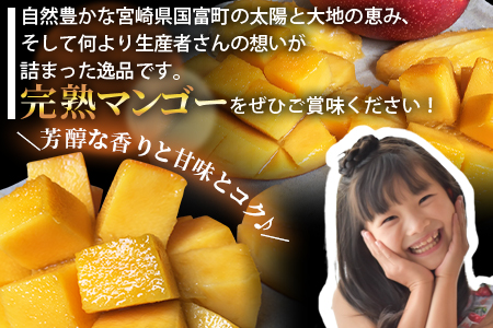 期間限定! <宮崎特産!国富町産の完熟マンゴー 2玉(2L×2玉)>2026年3月下旬~6月下旬迄に順次出荷【a0594_as】