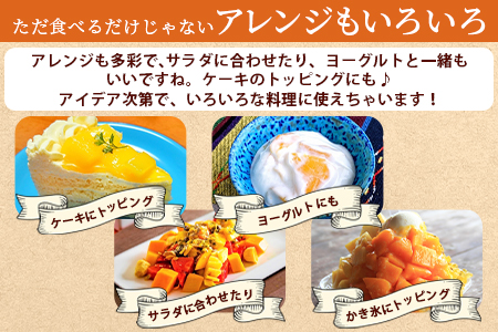 期間限定! <宮崎特産!国富町産の完熟マンゴー 2玉(2L×2玉)>2026年3月下旬~6月下旬迄に順次出荷【a0594_as】