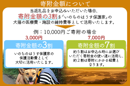 ＜保健所犬猫レスキュー【返礼品なしのご寄附】＞寄付金額5,000円※お礼状をお送りいたします。【 動物愛護 保護 犬 猫 いぬ ねこ イヌ ネコ 動物 どうぶつ ペット 応援 支援 寄付 使い道 寄附のみ いのちのはうす保護家 】【a0621_in】