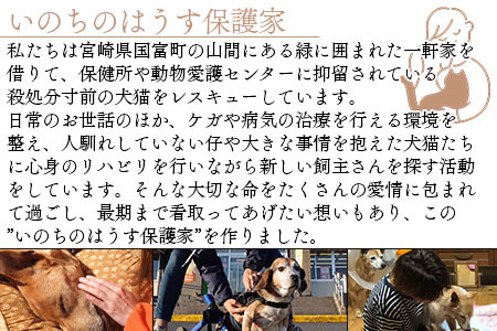 ＜保健所犬猫レスキュー【返礼品なしのご寄附】＞寄付金額30,000円※お礼状をお送りいたします。【a0623_in】