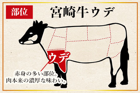 数量限定＜宮崎牛 ウデ焼肉 500g＞2025年2月に順次出荷【 肉 牛肉 国産牛肉 宮崎県産牛肉 黒毛和牛 ミヤチク牛肉 牛肉焼肉 牛肉BBQ 牛肉焼き肉 牛肉バーベキュー 牛 】【b0636_my】