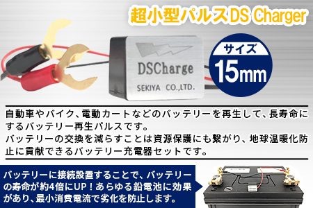 ＜超小型パルス DS Chargerバッテリー再生パルス＞2か月以内に順次出荷【a0606_sk】