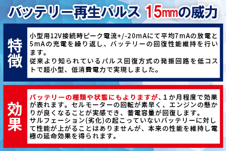 ＜超小型パルス DS Chargerバッテリー再生パルス＞2か月以内に順次出荷【a0606_sk】